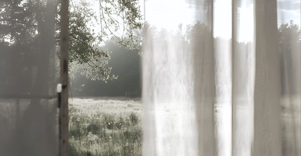カーテン越しに窓から見える自然の風景