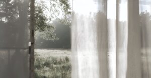 カーテン越しに窓から見える自然の風景