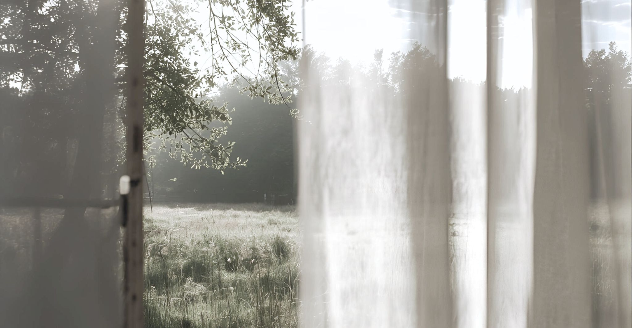 カーテン越しに窓から見える自然の風景